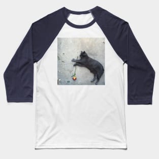 A Cat by Any Other Name Would Be as Sweet Baseball T-Shirt